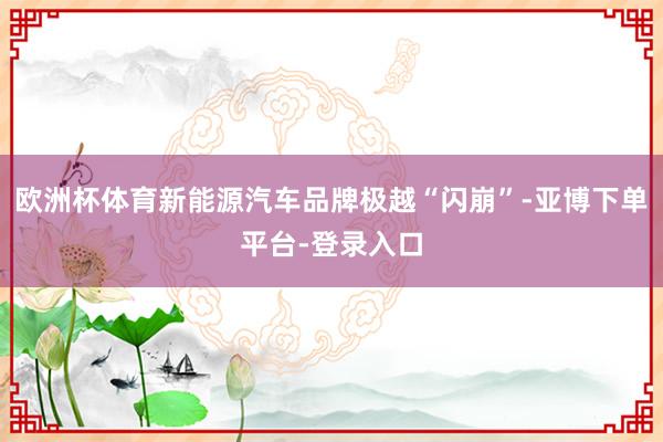 欧洲杯体育新能源汽车品牌极越“闪崩”-亚博下单平台-登录入口