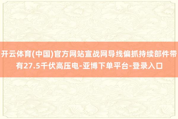 开云体育(中国)官方网站宣战网导线偏抓持续部件带有27.5千伏高压电-亚博下单平台-登录入口