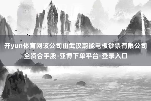 开yun体育网该公司由武汉蔚能电板钞票有限公司全资合手股-亚博下单平台-登录入口