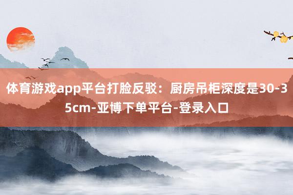 体育游戏app平台打脸反驳：厨房吊柜深度是30-35cm-亚博下单平台-登录入口