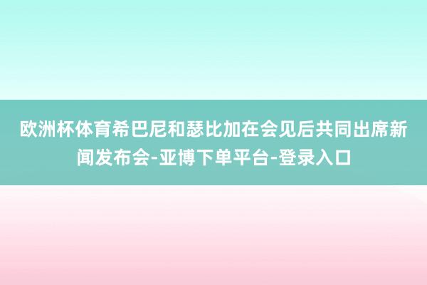 欧洲杯体育 希巴尼和瑟比加在会见后共同出席新闻发布会-亚博下单平台-登录入口